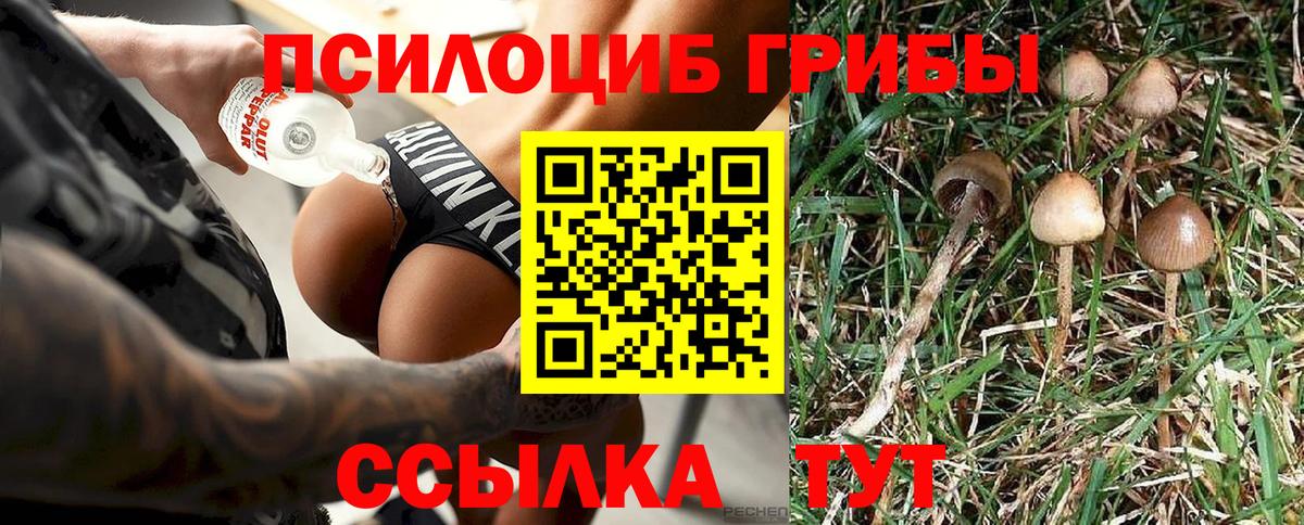 Псилоцибиновые грибы MAGIC MUSHROOMS Избербаш