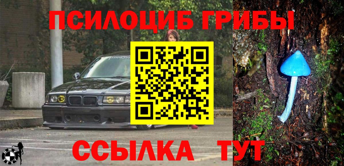 где найти   Вход с VPN  Галлюциногенные грибы Psilocybe  Избербаш  Псилоцибиновые грибы Magic Shrooms 
